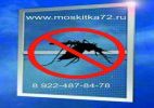 Москитная сетка на пластиковые окна фотография