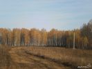 Продам земли сельскохозяйственного назначения в Тюменской области (5 фотографий)