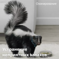 Убрать запах в квартире, доме, офисе. фотография